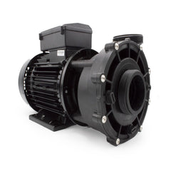 Pump WP500 LX 2 SPEED ( 2.5 x 2.5)