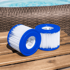 InSpire LAY-Z Spa Filter (Individual Box)