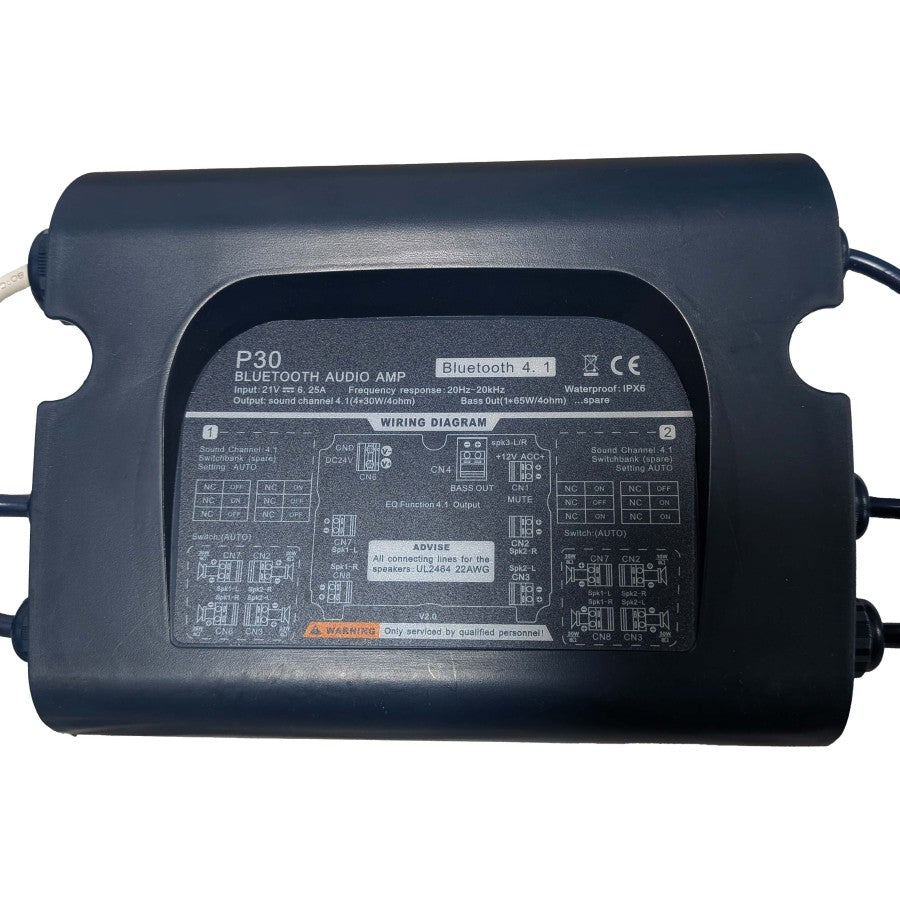 Bluetooth P30 Audio Amp