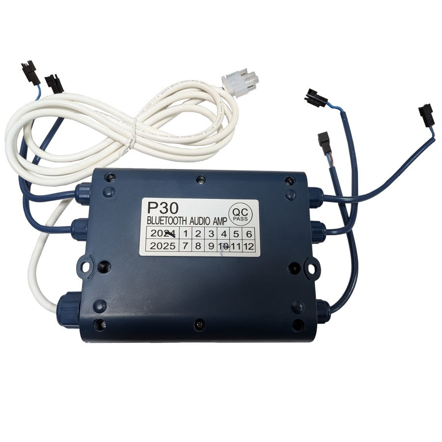 Bluetooth P30 Audio Amp