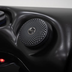 Speaker - Black with PS Logo for Platinum Spas Luxury (03.07.01199)