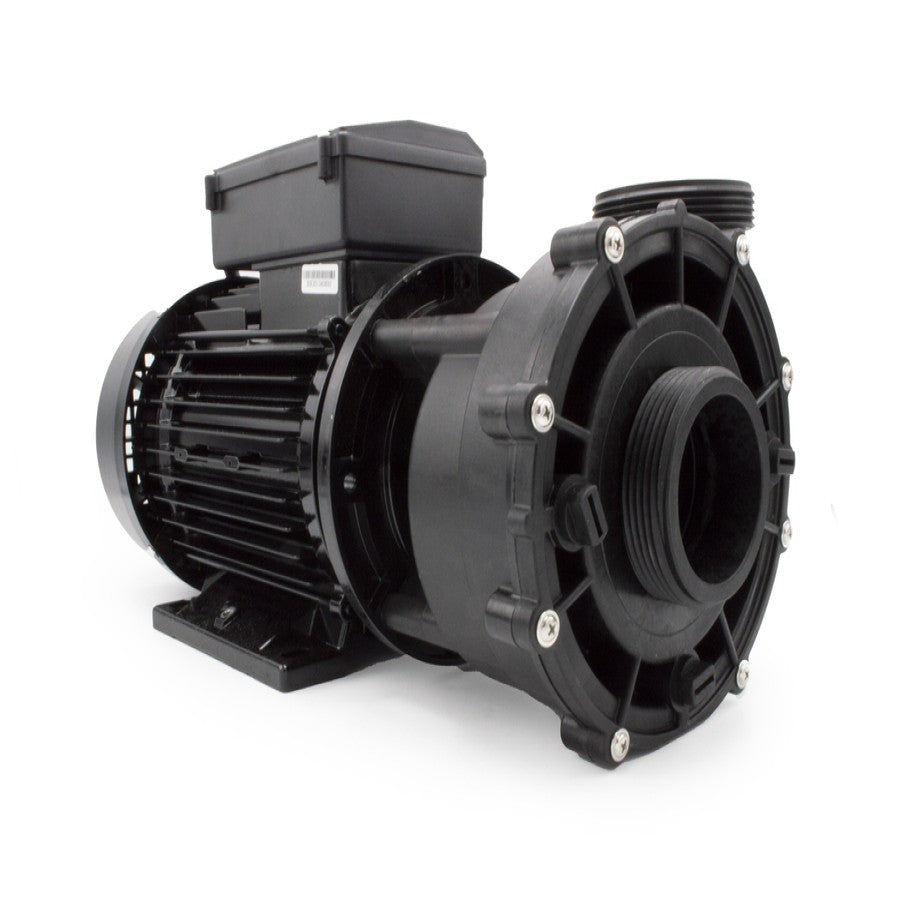 LX LP200 Pump (01020161)