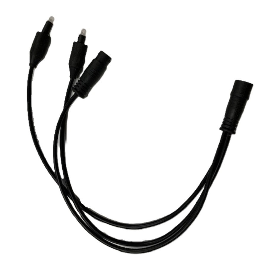 LED Lights - 2 Strand for Platinum Spas (PLED2-03.07.00388)